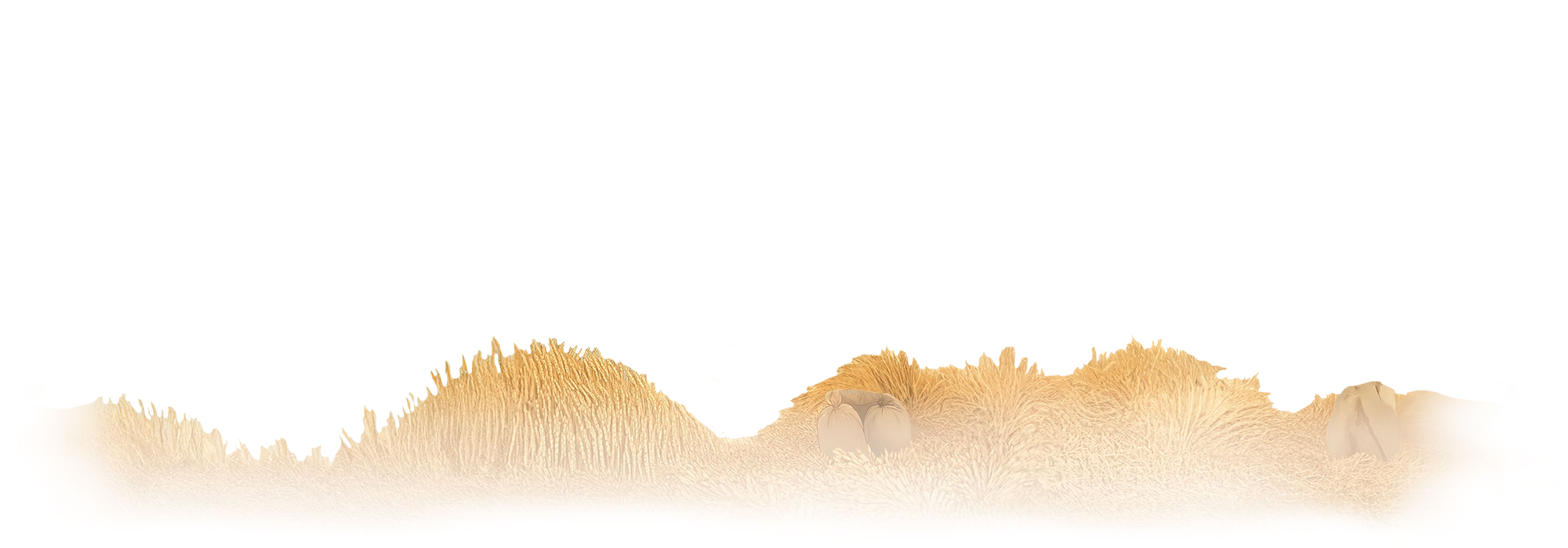 Sesame Snaps Crunchy Sesame Bars